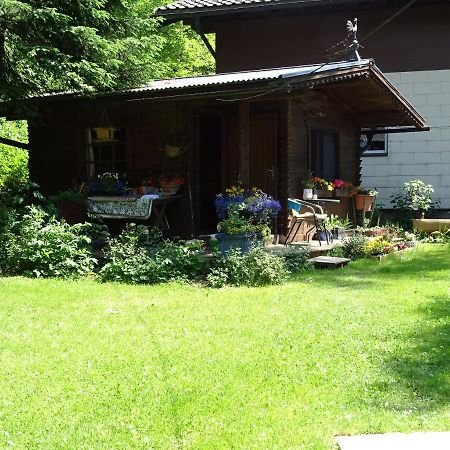 Pension Bayrhammer Faistenau Buitenkant foto
