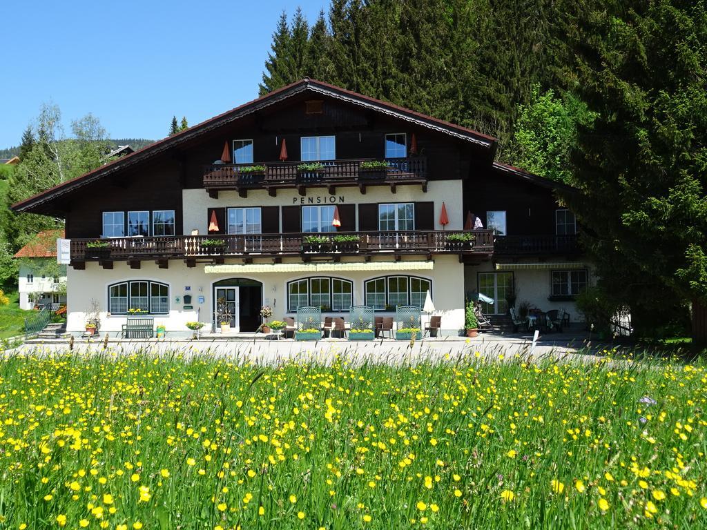 Pension Bayrhammer Faistenau Buitenkant foto